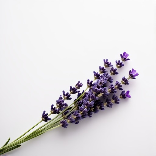 Lavendelskorpor – receptbild